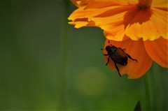 僕は、ここだよ