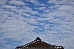 秋の空