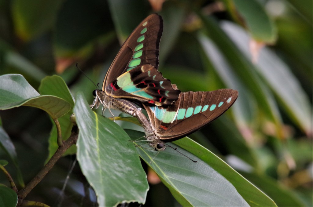 絵になりますね (2)