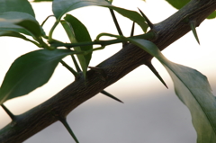 これは、痛そう