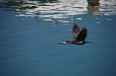 あー、忙しぃ。