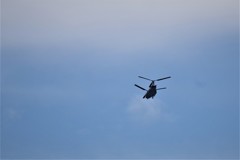 青空に向かって