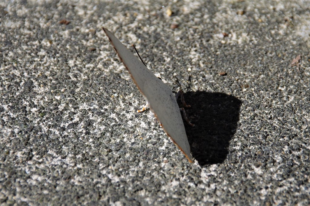 こんなところで・・・ (2)