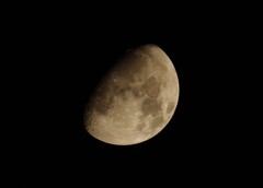 今夜の月
