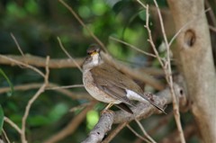 そろそろ帰ろかな (1)