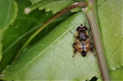 寒さにも負けず (2)