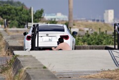 86