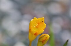 庭先にて