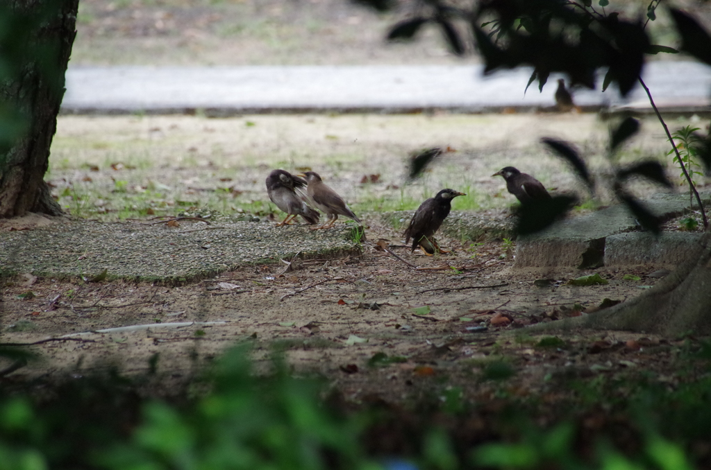 うん、うんー。
