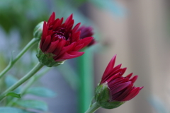 もう少し待ってね