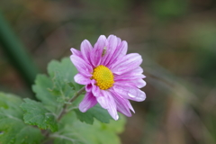 見つかっちゃった