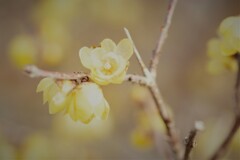 散歩中に・・ (2)