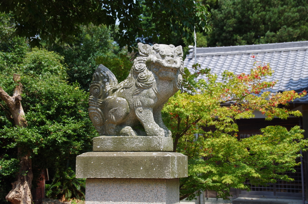 狛犬は何を思う