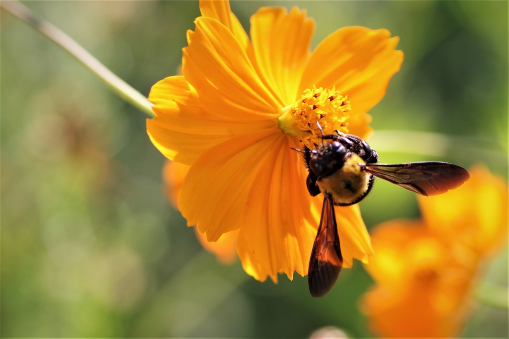 邪魔しないでね