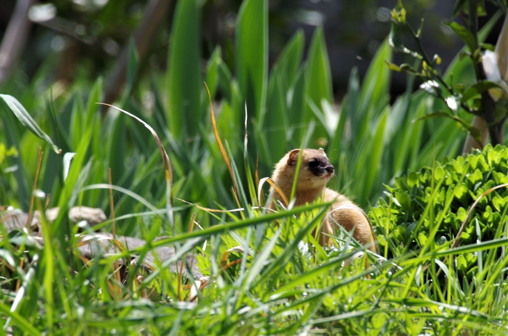 なんだぁ・・・ (2)