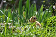 なんだぁ・・・ (2)