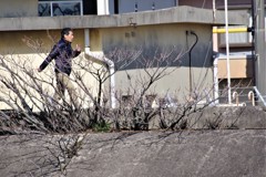 がんばってください。