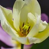 春ですぅ・・ (2)