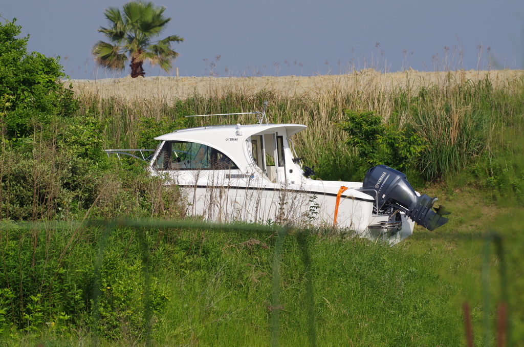 何処へ行くの～