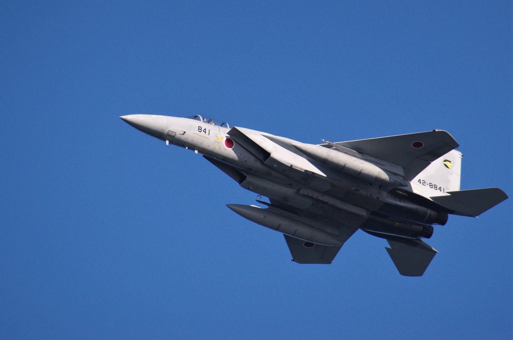 鈴鹿F1グランプリ　セレモニー (3)