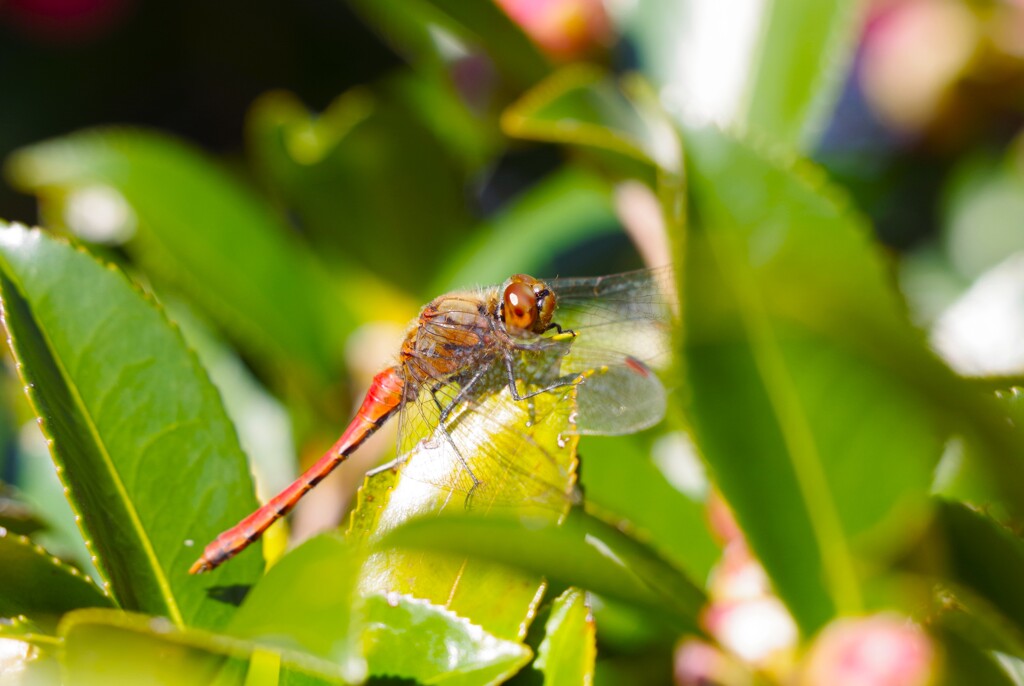 もうすぐクリスマスだというのに・・・ (3)