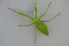 こんにちは～