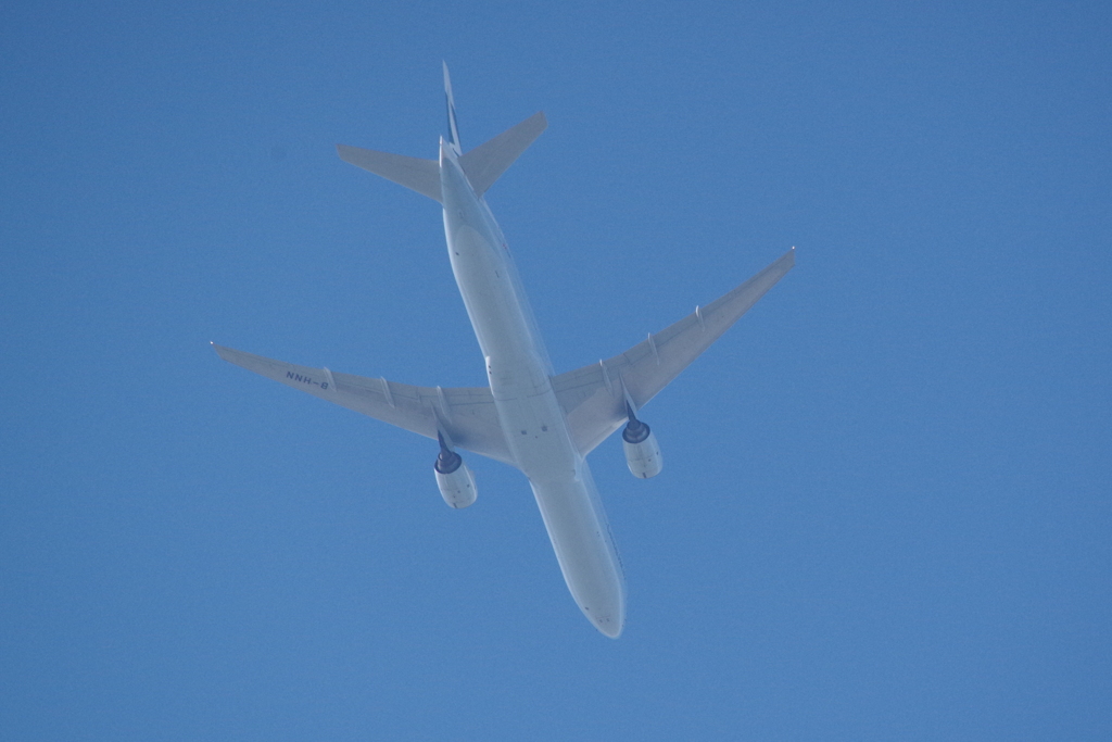 青空に向かって (2)