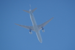 青空に向かって (2)