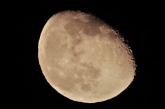 昨夜の月