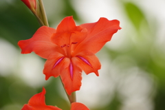 ご近所にて・・