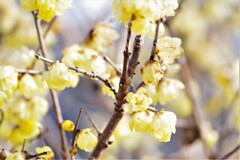 散歩中に・・ (1)