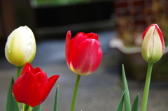 晴れてきましたね。