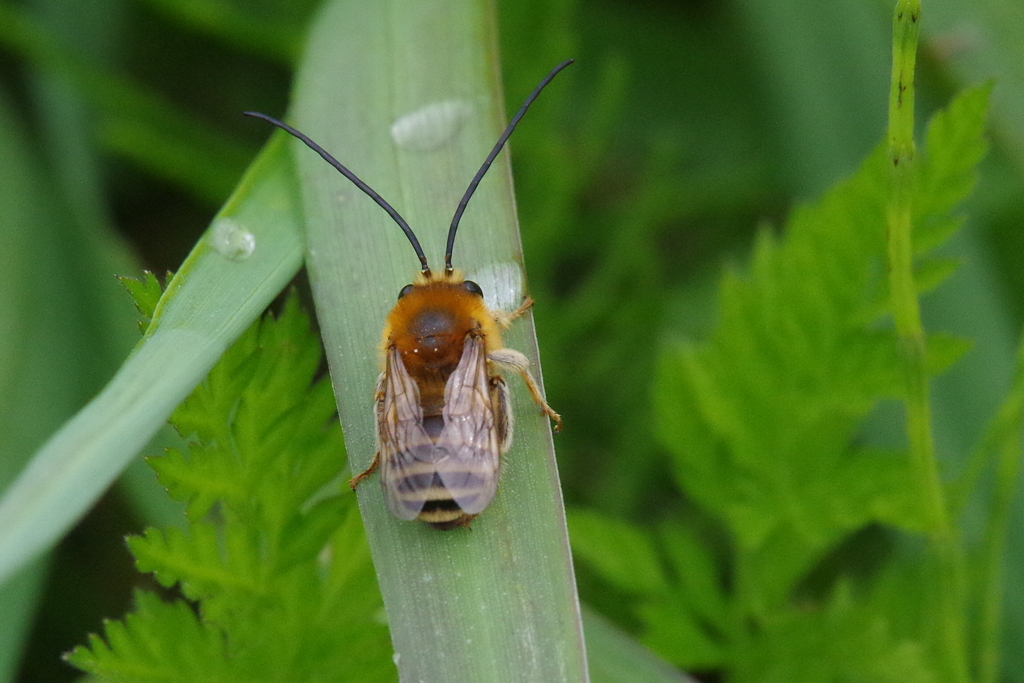 僕は、ここだよ。