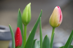 もうちょっと待ってね