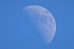 今日の月 (1)