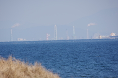 対岸