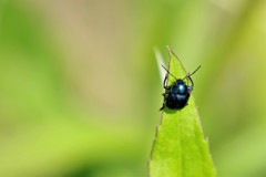 僕たちの季節や (1)