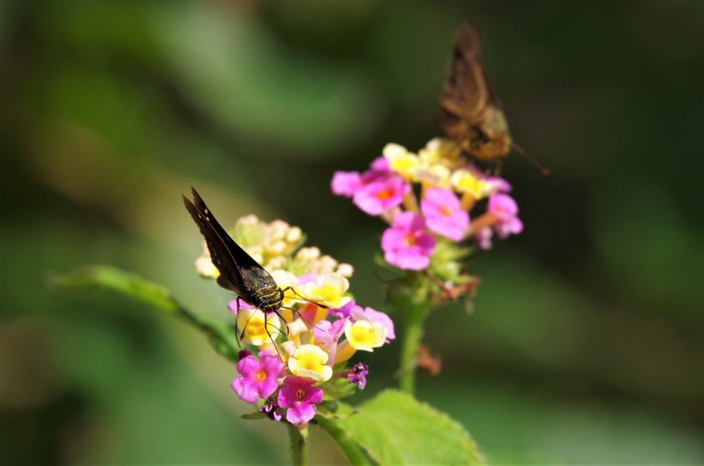 まだまだ 、いくでぇ