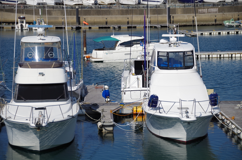 春は、もうすぐ。