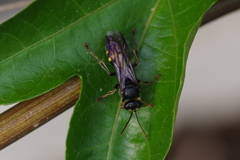 僕は、ここだよ　 (2)