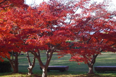 隣町の公園