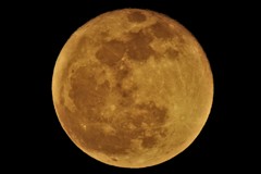 月齢15.8