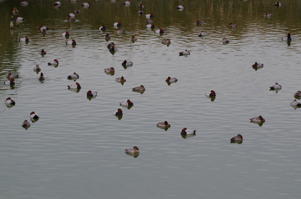 皆んなでひと休み
