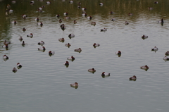 皆んなでひと休み