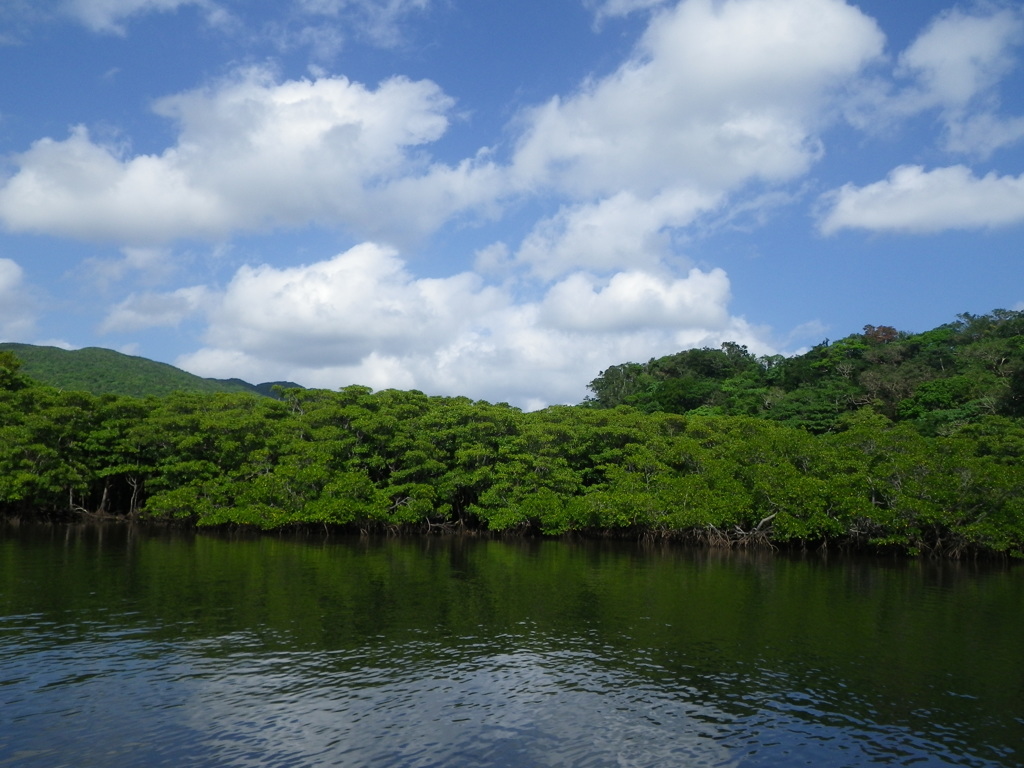 石垣島へ (2)