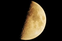今日の月
