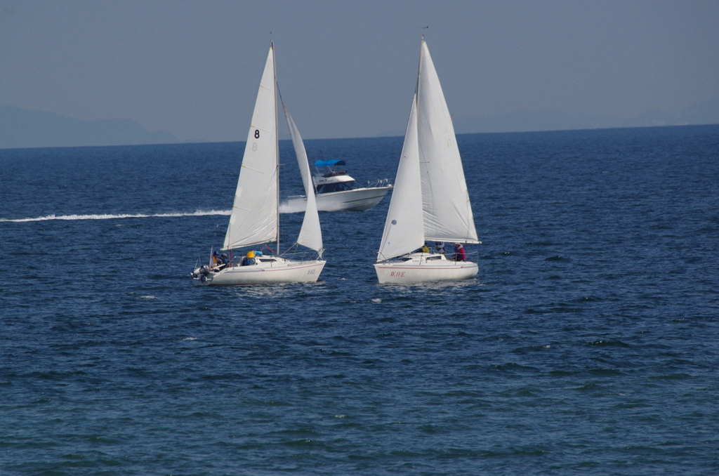 ヨット危ないー