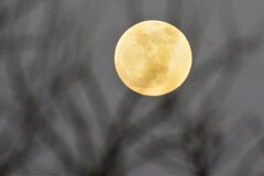 17時の月
