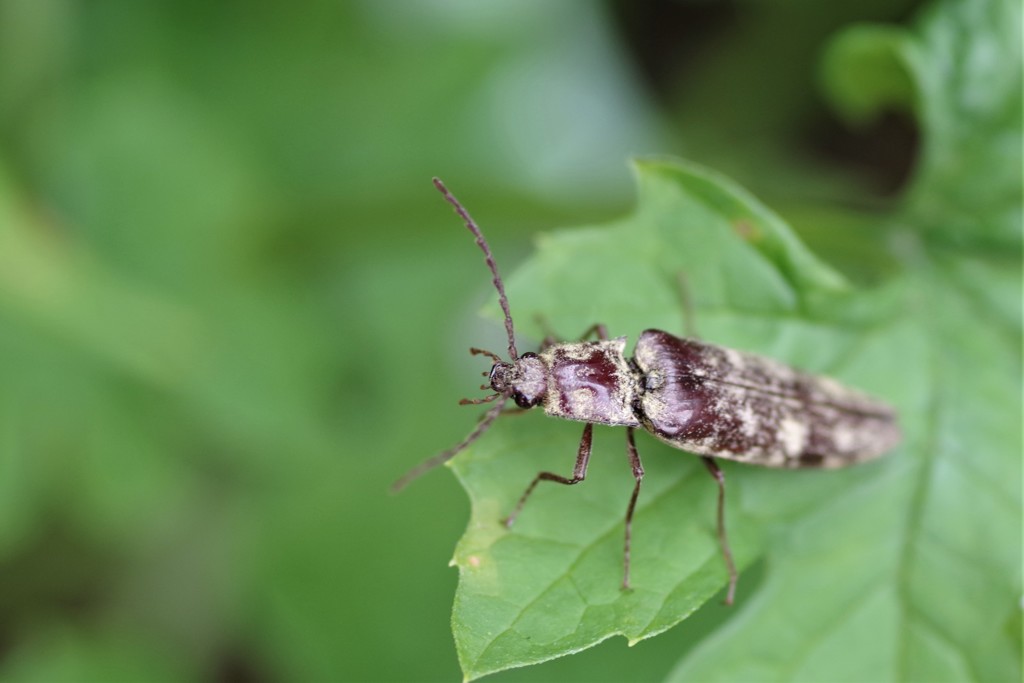 さぁ飛ぶよ～ (1)