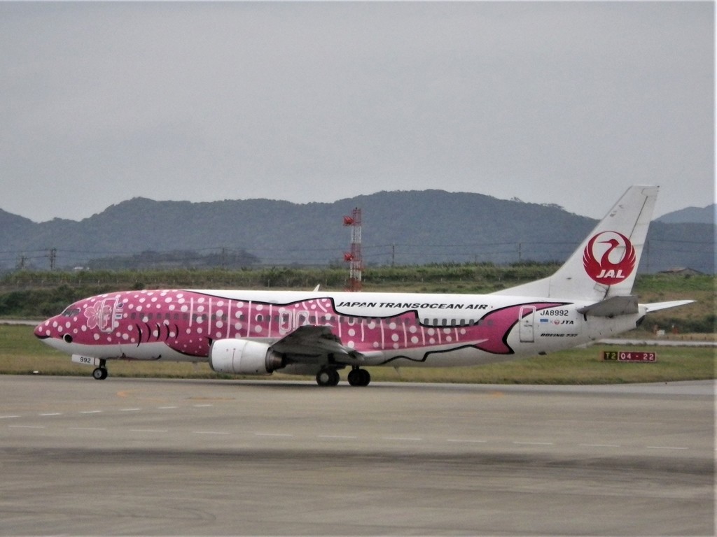 石垣空港 (2)